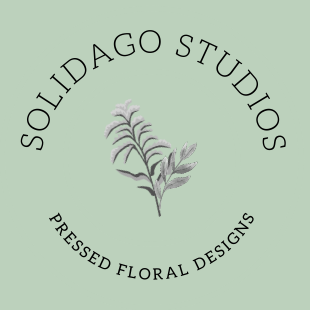 Solidago Studios